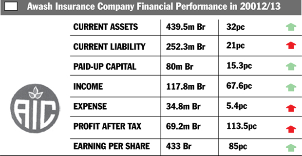 Source: Awash Insurance Company Annual Report, 2012/13.