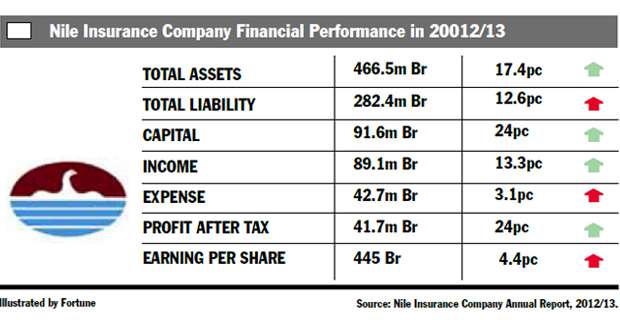 Nile Insurance - Sizeable Profit Increase, Minimal Growth in Earnings ...